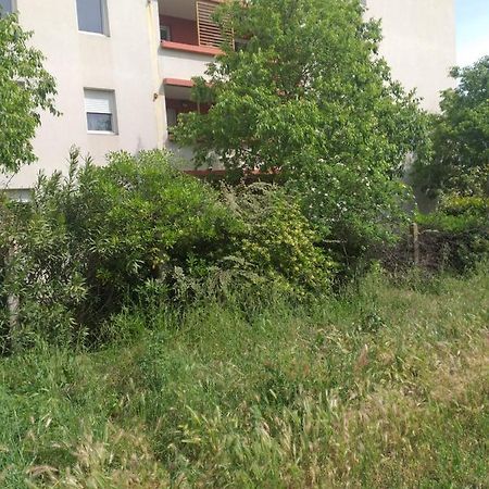 Le Nomade, Parc Montcalm Et Stationnement Prive Apartment Montpellier Exterior foto
